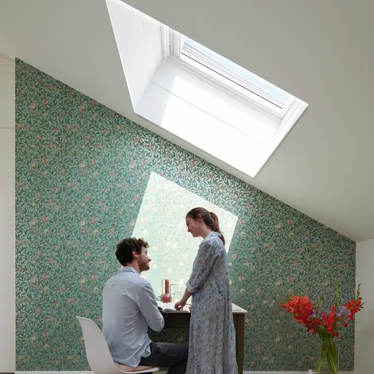 remplacement VELUX à Orgères